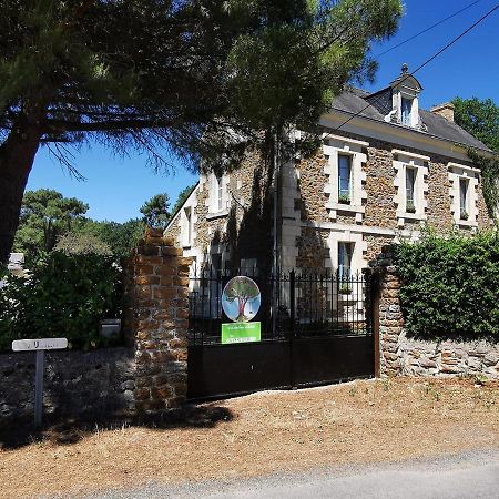 Quatre Chats Sous Un Pin Le Thoureil Exterior photo