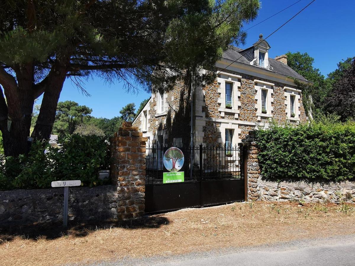 Quatre Chats Sous Un Pin Le Thoureil Exterior photo
